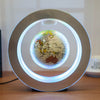 Floating LED Globe light