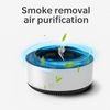 Air Purification Smoke Removal